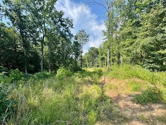 0 County Road 330, Baldwyn, MS 38824