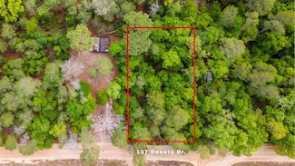 107 Desoto Dr, Florahome, FL 32140
