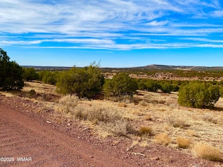0 Co Rd 8269 Lots 150 & 151 Unit 254618, Concho, AZ 85924