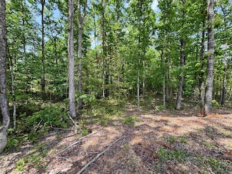 lot 23 Grant County Road 763, Sheridan, AR 72150