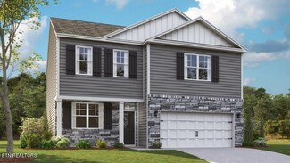 6918 Squirrel Run Ln, Corryton, TN 37721