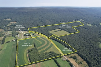 2652 State Route 42, Unityville, PA 17774