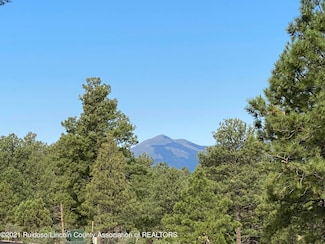 L37D Walter Hagen Dr, Alto, NM 88312