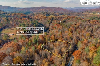 1165 Dehart Community Center Rd, Hays, NC 28635