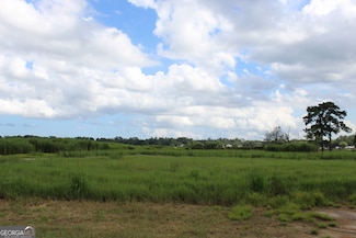 0 Jerico Marsh Rd Unit 10544769, Midway, GA 31320