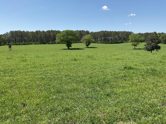 500 Ivy Creek Rd, Rutledge, AL 36071