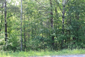 TBD Centerline Rd NW, Solway, MN 56678