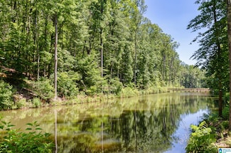 2048 Lindsay Ln Unit 6, Chelsea, AL 35043