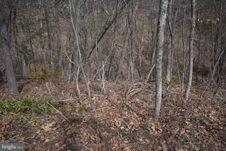 0 Nicklaus Dr Unit VASH2007924, Basye, VA 22810
