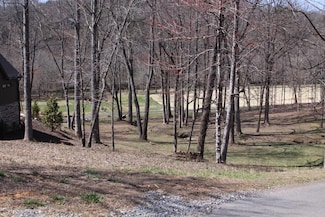Lot HP21 Old Toccoa Loop, Mineral Bluff, GA 30559