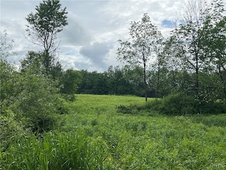 0 Searls Rd Unit S1612623, Cortland, NY 13045