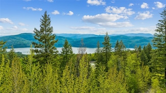 201 Whitefish Lookout Rd, Whitefish, MT 59937
