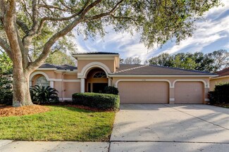 1318 Kings Way Ln, Tarpon Springs, FL 34688