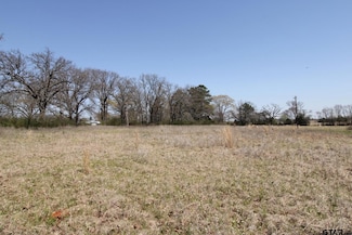 22419 County Road 2166, Troup, TX 75789