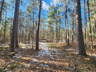 32 Acres Hwy 70, Saint Germain, WI 54558