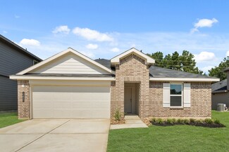 15864 Elegant Pine Ln, Magnolia, TX 77355