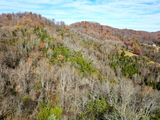 0 Bailey Hollow Rd, Tazewell, TN 37879