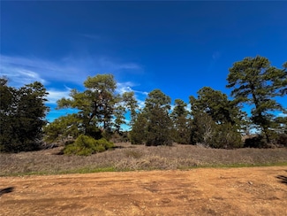 Lot 3 Winding Pine Dr, Bastrop, TX 78602