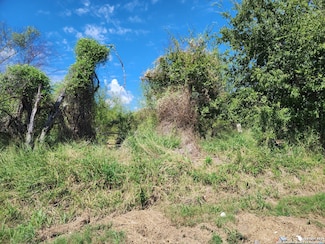 1051 S Roosevelt St, Pearsall, TX 78061