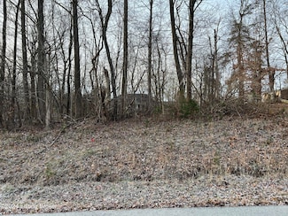 13 Pleasant View Ct, Shepherdsville, KY 40165