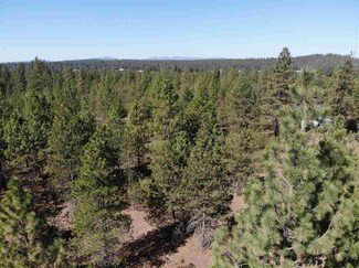 00xx N Hardesty Rd, Chattaroy, WA 99003