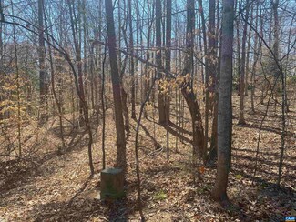 746 Jefferson Dr, Lake Monticello, VA 22963