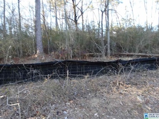 4419 Hammond Rd Unit Lot 34, Birmingham, AL 35235