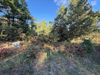 1242 Sydney St Unit Lot 33, Whitehall, MI 49461