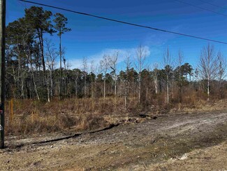 TBD 5 AC E Highway 19, Loris, SC 29569