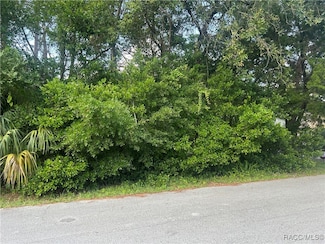 11 Jamaica St, Sugarmill Woods, FL 34446