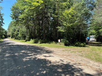 417 Tea Cup St, Cold Brook, NY 13324