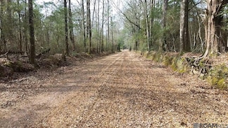 Tract 2-A Bryce Hyde Rd, Roseland, LA 70456