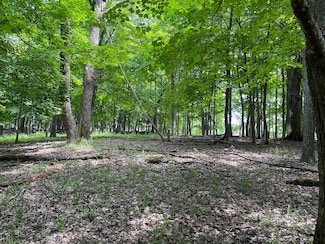 L148 Pine Cone Ln, Woodland, WI 53941