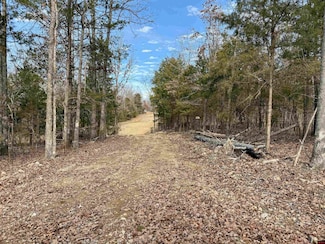 1796 Hwy 178, Midway, AR 72651