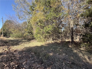 0 W Skyline Dr, Diamond City, AR 72644