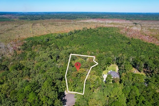 6682 Pepper Grass Trail, Ravenel, SC 29470