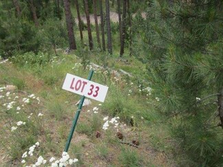 L 33 B 1 Elk Run, Idaho City, ID 83631