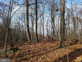 0 Fire Trail Rd Unit 1004655779, Linden, VA 22642