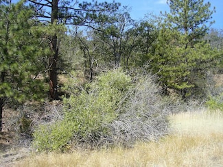 0 9 1 Acres Humbug Gulch Rd Unit 20230882, Yreka, CA 96097