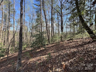 0 Rusty Ln, Lenoir, NC 28645