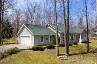 7970 Forest Ln, Alanson, MI 49706
