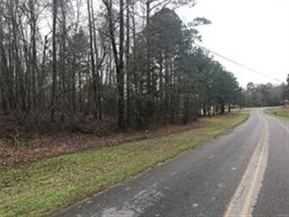 235 W Cotton Rd, Eclectic, AL 36024