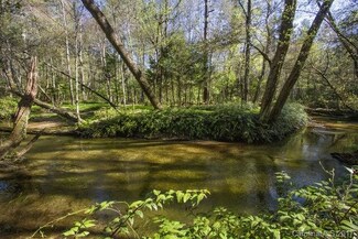 10450 Greenville Hwy, Cedar Mountain, NC 28718