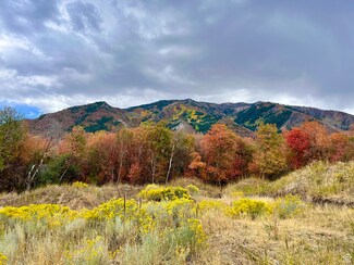 86 W Lakeview Way, Woodland Hills, UT 84653