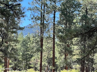 0 Forest Road 193 St Unit 6929946, Flagstaff, AZ 86001