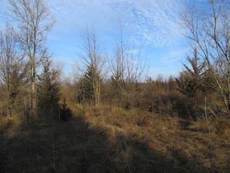 0-Lot 12 Grant St, Merrillville, IN 46410