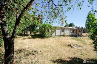 9015 183rd Ave SW, Rochester, WA 98579