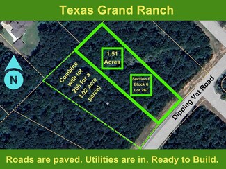 6-6-267 Dipping Vat Rd, New Waverly, TX 77358