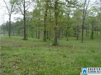 0 Gabrielle Dr Unit 5 629054, Woodstock, AL 35188