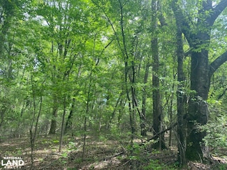 00 W Hickory Grove Rd, Lapine, AL 36046